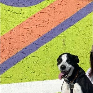 Meet your Posher, Johnna